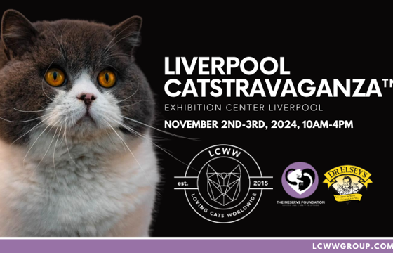 Liverpool Catstravaganza Tqthumb